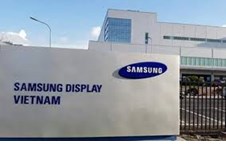 Công ty Samsung Display Việt Nam thông báo tuyển dụng