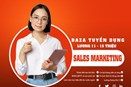  Baza Company tuyển dụng Nhân viên kinh doanh/Sales Marketing 